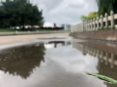 -塘沽森林公园