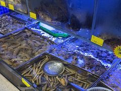 -77号渔船·蒸海鲜青岛菜(积米崖店)