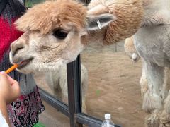 -鄂尔多斯野生动物园