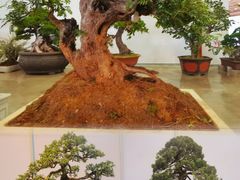 -昆明国际会展中心