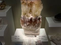 -天津自然博物馆
