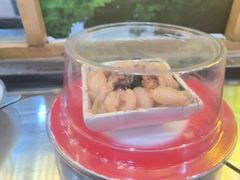 -禾绿回转寿司(国瑞店)