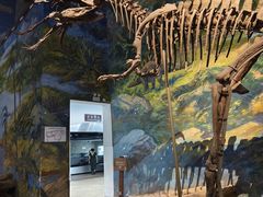 -自贡恐龙博物馆