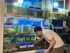 -阳江餐厅·30年老字号·粤菜海鲜大排档