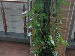 -一兆韦德(万源城店)