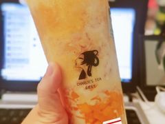 -茶理宜世(东方宝泰店)