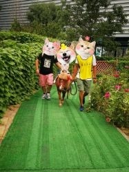 -萌宠亲子动物乐园(槐房万达店)