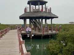 -北海金海湾红树林生态旅游区