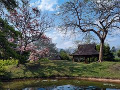 -中国科学院西双版纳热带植物园