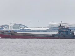 -上海滨江森林公园