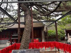 -红螺寺