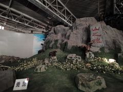 -吉林省自然博物馆