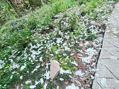 -素山寺森林公园