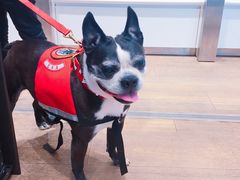 -ladurée(戴高乐机场T 2F店)