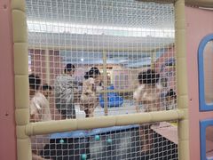 -海韵之星邮轮水会(明发商业广场店)