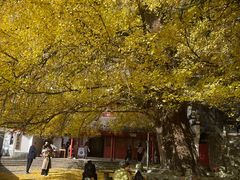 -大慈岩风景区