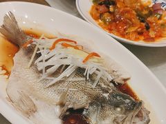 -老雒阳清真水席(瀍河店)
