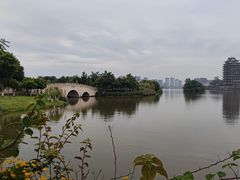 -眉山湿地公园(东坡区)