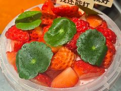 -朱光玉火锅馆(龙阳广场店)