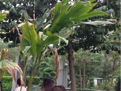 -广州神农草堂中医药博物馆