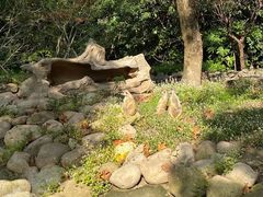 -上海野生动物园