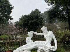 -南山植物园