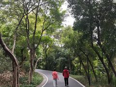 -广州雕塑公园