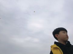 -春花秋色城市公园