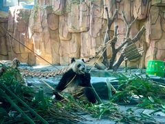 -泉州海丝野生动物世界