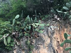 -抚仙湖禄充风景区