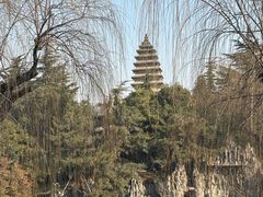 -洛阳白马寺