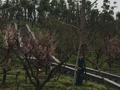 -蜀冈西峰生态公园