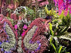 -正佳雨林生态植物园