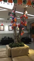 -星光贝贝(万达店)