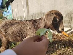 -上方山森林动物世界