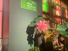-听说碳烧蛙(高新万达店)