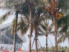 -中国（海南）南海博物馆