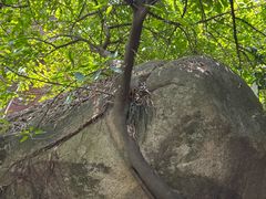 -石峰岩寺