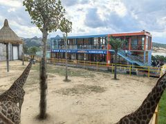 -西霞口神雕山野生动物世界