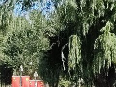 -哈尔滨文化公园
