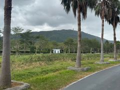 -亚龙湾国际玫瑰谷