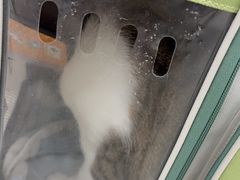 -御宝贝24h宠物医院·转诊中心·CT核磁血透中心(厦门总院)