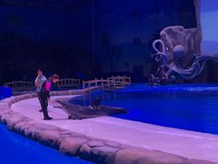 -华夏文旅海洋公园