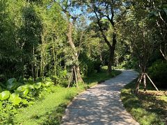 -福建鲤鱼洲酒店