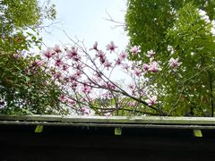 -同里国家湿地公园