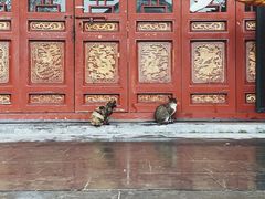 -长春观