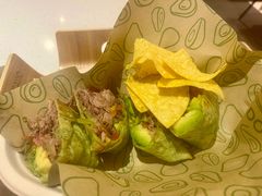 -油梨树 AVOCADO TREE(亮马桥店)