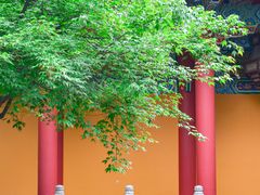 -都江堰景区