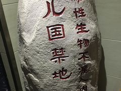 -武汉华夏国际影城(鲁广店)