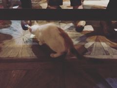 -SISTERS BAR RESTAURANT川意酒馆(嘉善老市H楼店)